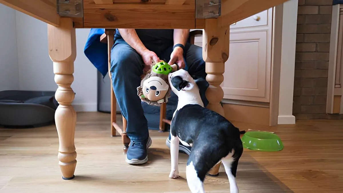 Different materials used in dog toys including rubber and fabric