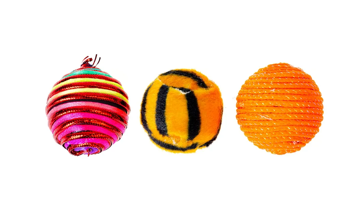 Different materials used in dog toys including rubber and fabric