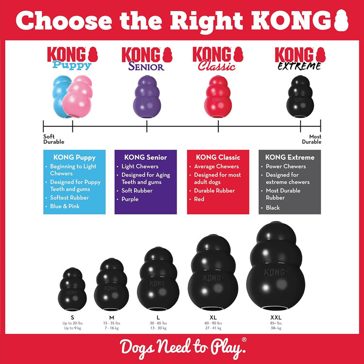 Choose-the-right-kong