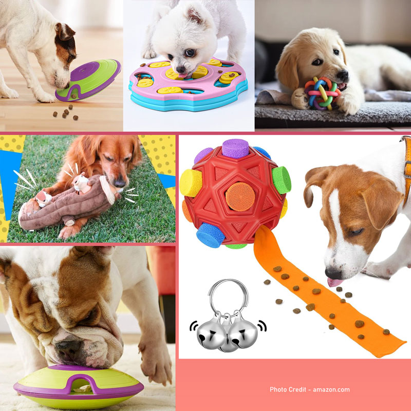 Interactive-Dog-Toys-Feature-Image