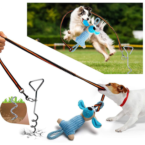 Physical-Exercise-Interactive-Dog-Toys