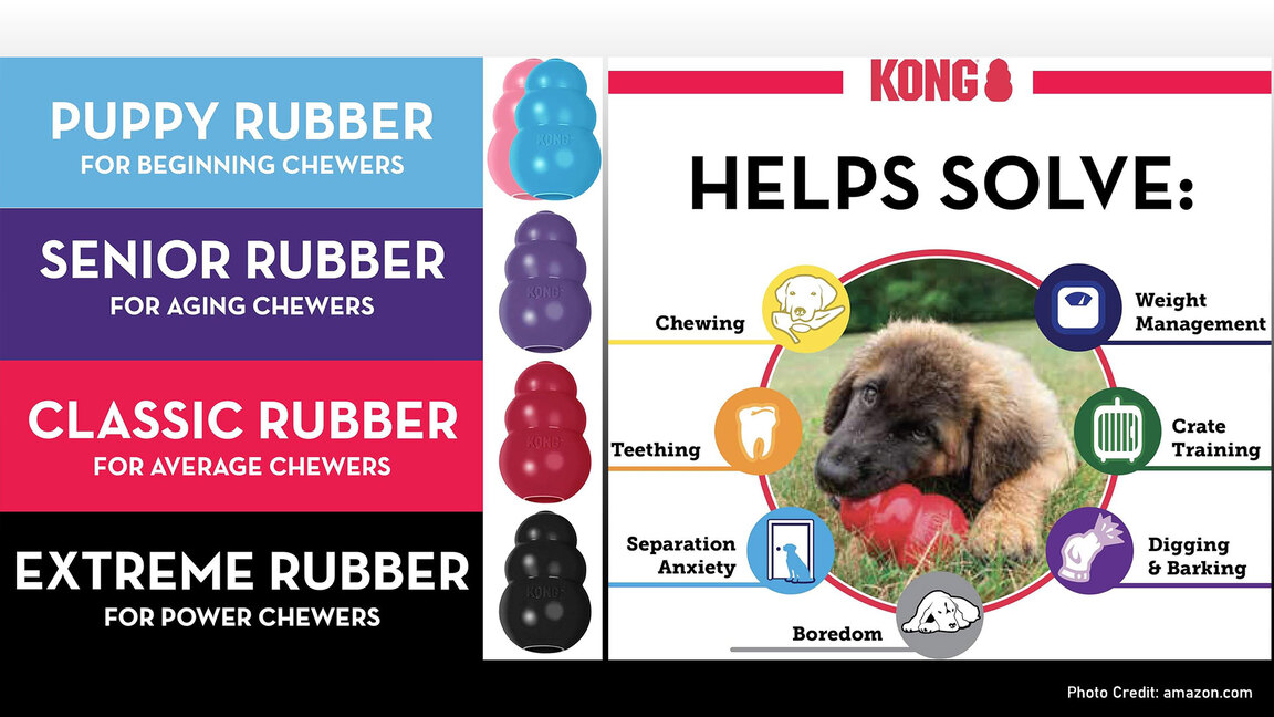 The-Kong-Dog-Toys-Feature-Image