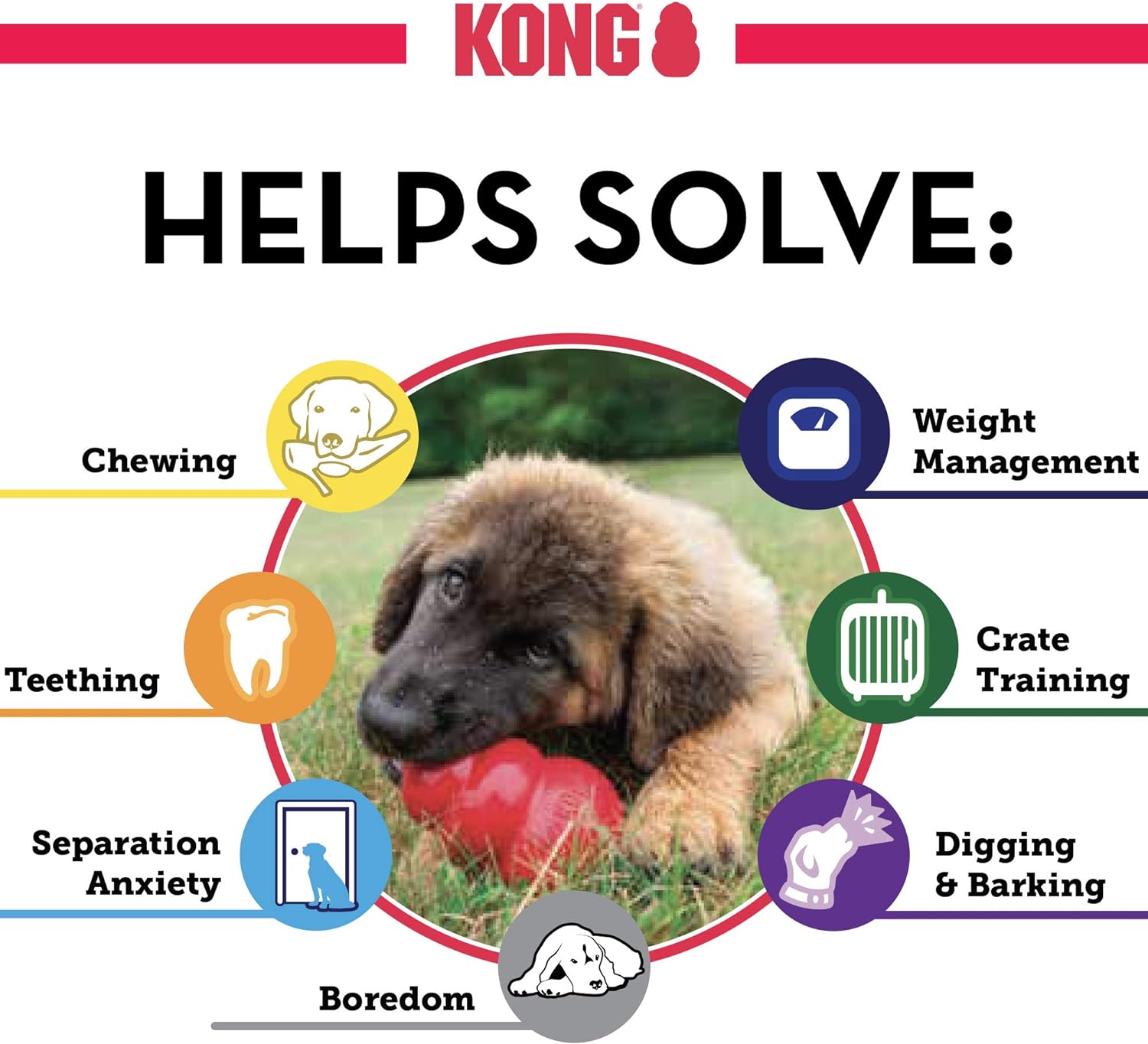 The Kong Toy