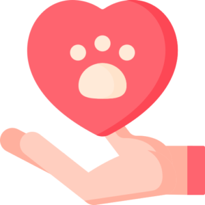 Best Dog Toys 2026 | Tested & Reviewed Picks – Dog Toys Report