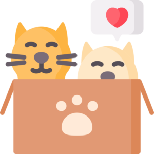 Best Dog Toys 2026 | Tested & Reviewed Picks – Dog Toys Report