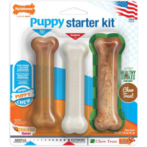 Nylabone Puppy Chew Toys