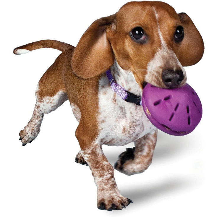 PetSafe Busy Buddy Twist 'n Treat