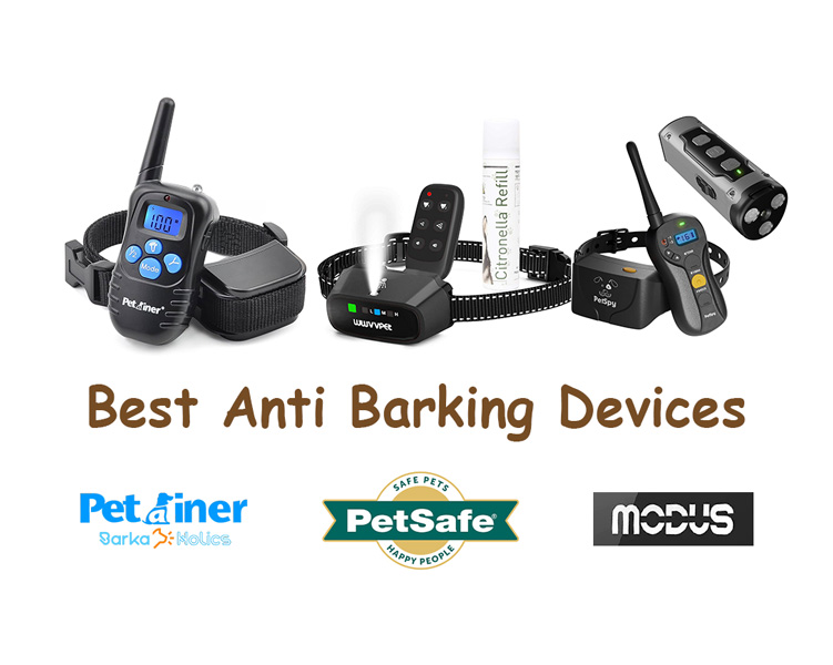 Best-Anti-Barking-Device--Feature-Images