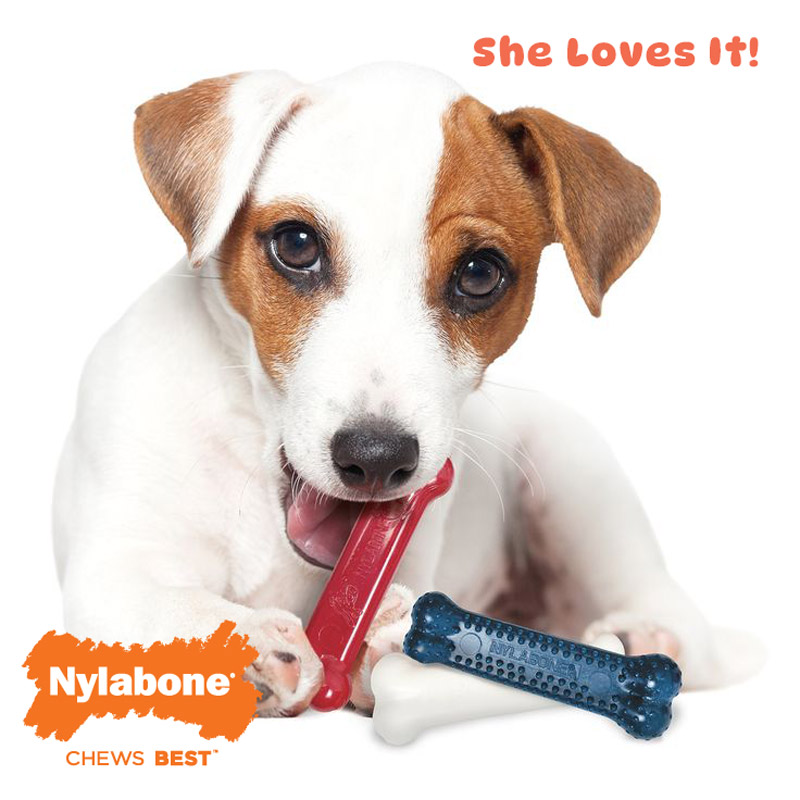 Nylabone-Dog-Toys-3