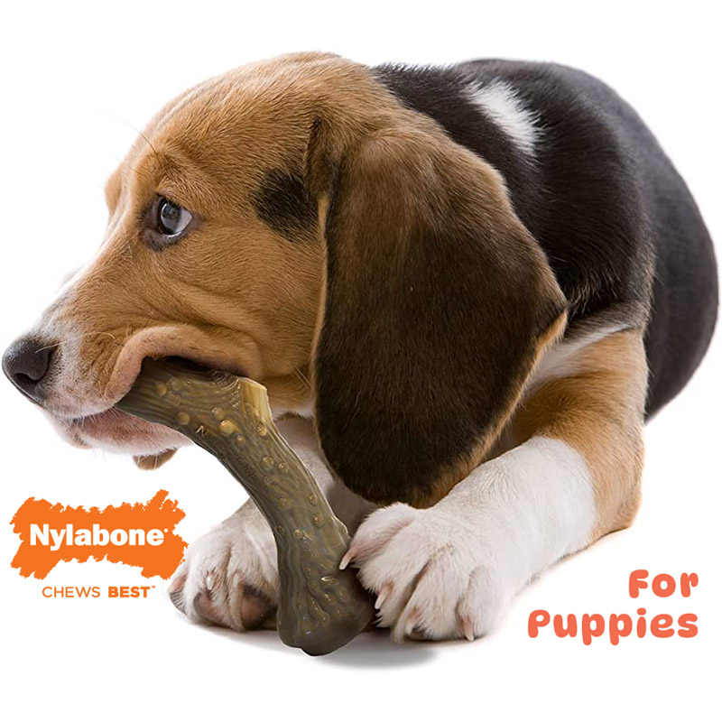 Nylabone-Dog-Toys-6