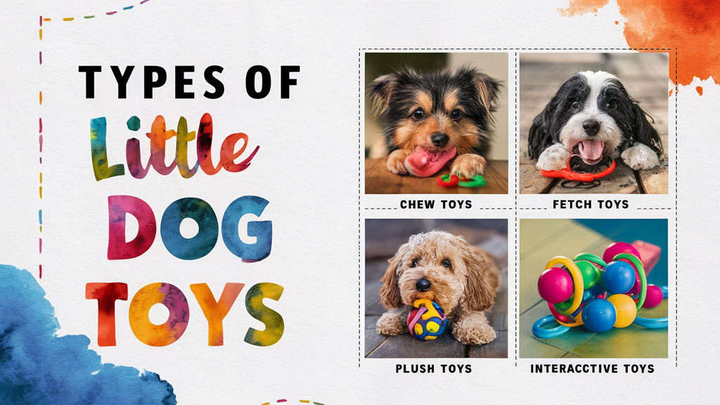 Types-of-Little-Dog-Toys