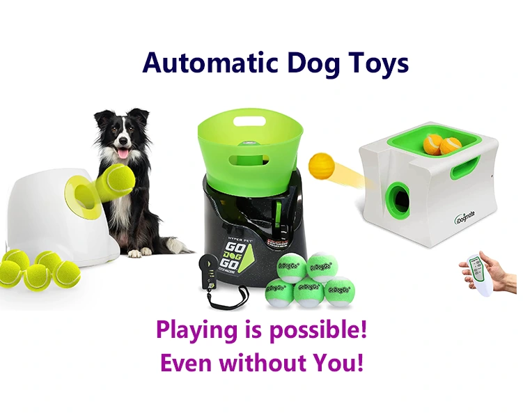 Automatic Dog Toy- Feature Imag