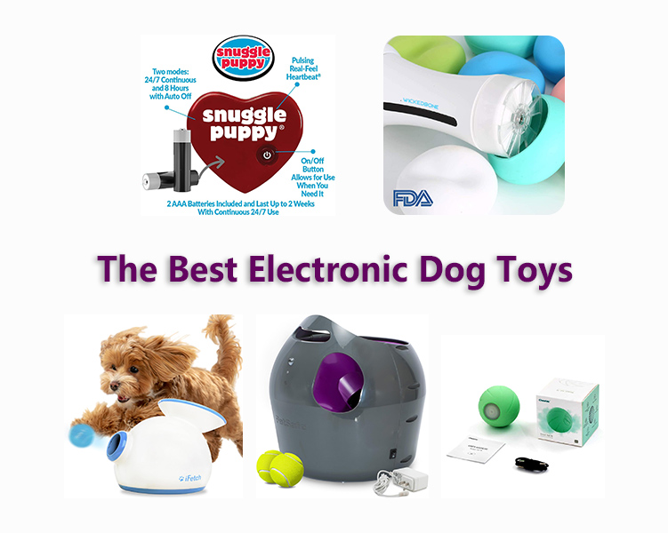 Electronic-Dog-Toys - Feature Image