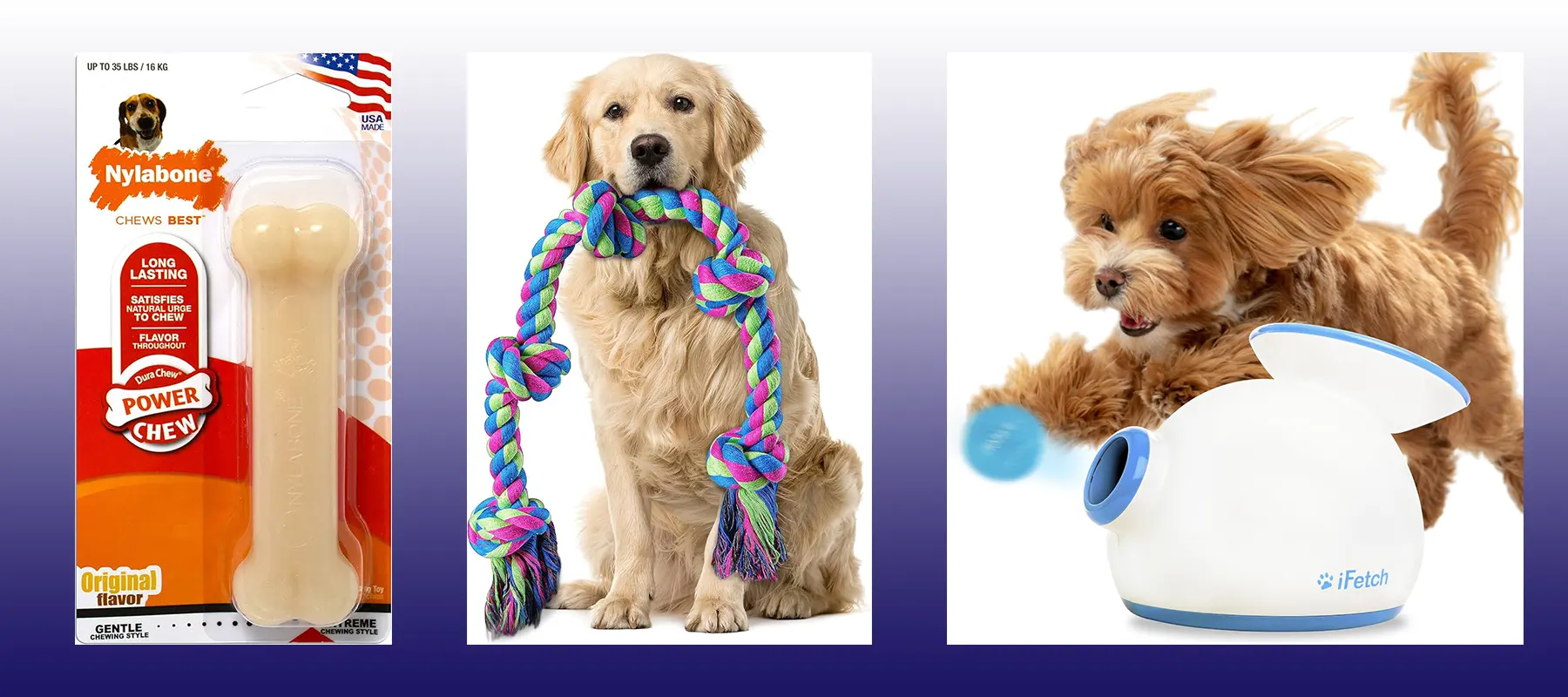 dog toys home bg-1