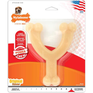 Nylabone Power Chew Toy