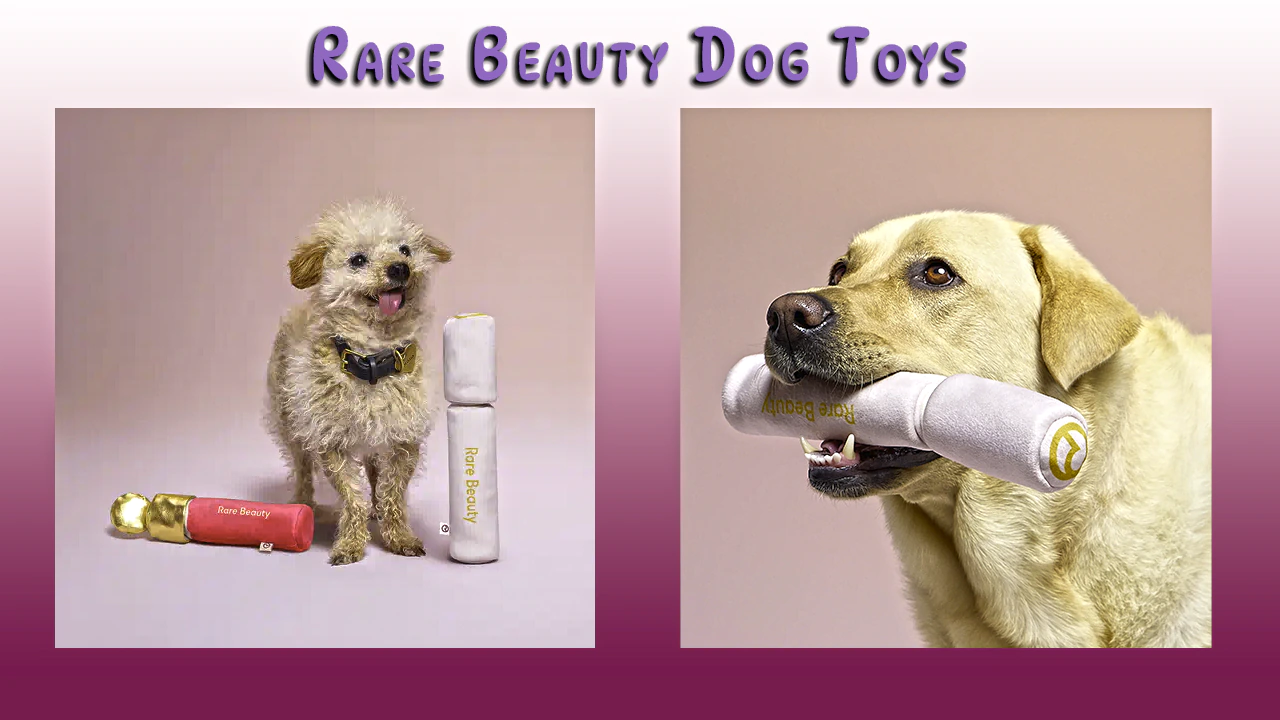 Rare Beauty dog toys Feature Image