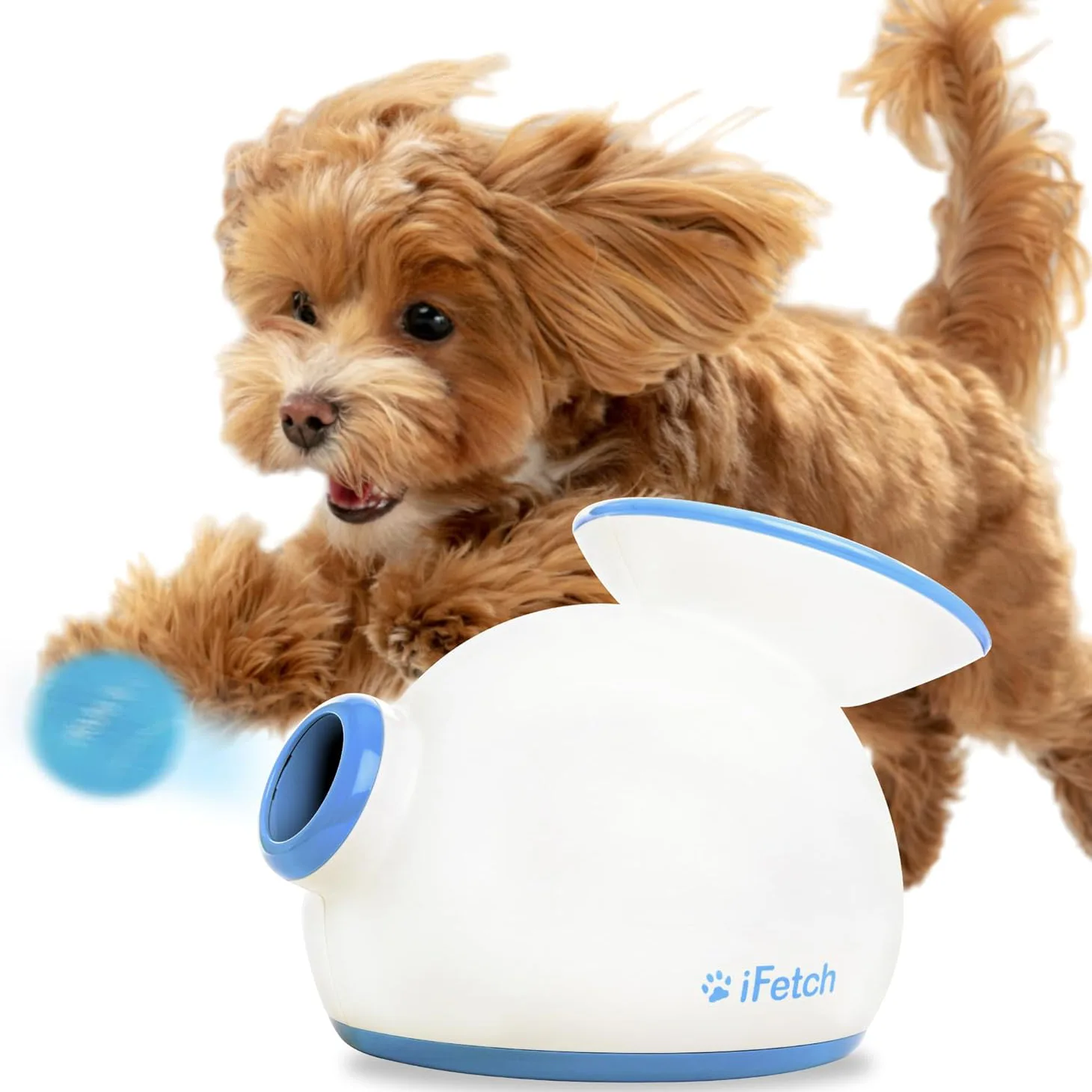 iFetch-Automatic-Dog-Ball-Launcher-Main