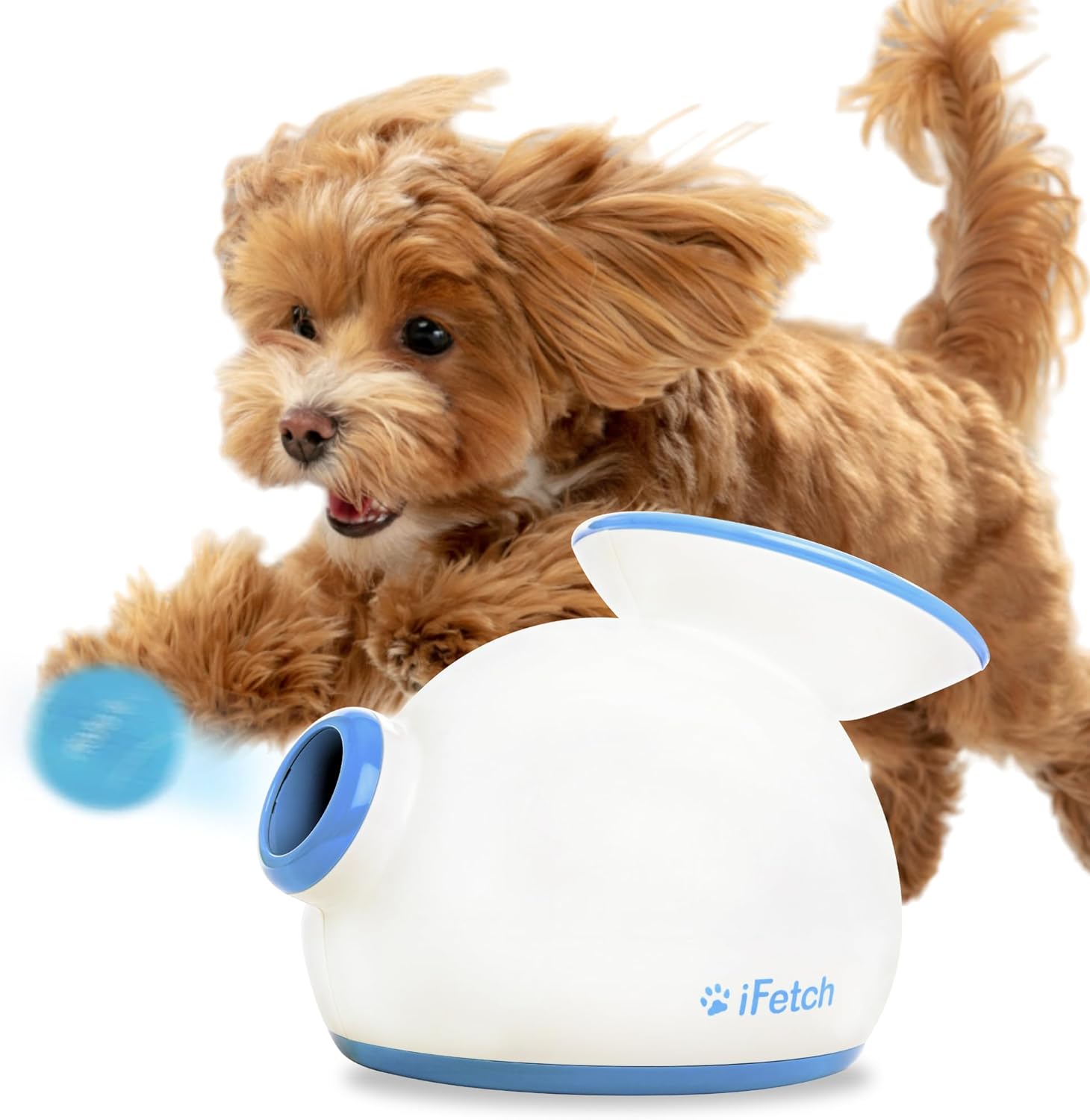 Electric Dog Toys- iFetch Automatic Dog Ball Launcher