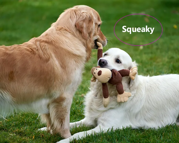 why do dogs like squeaky toys Feature Image