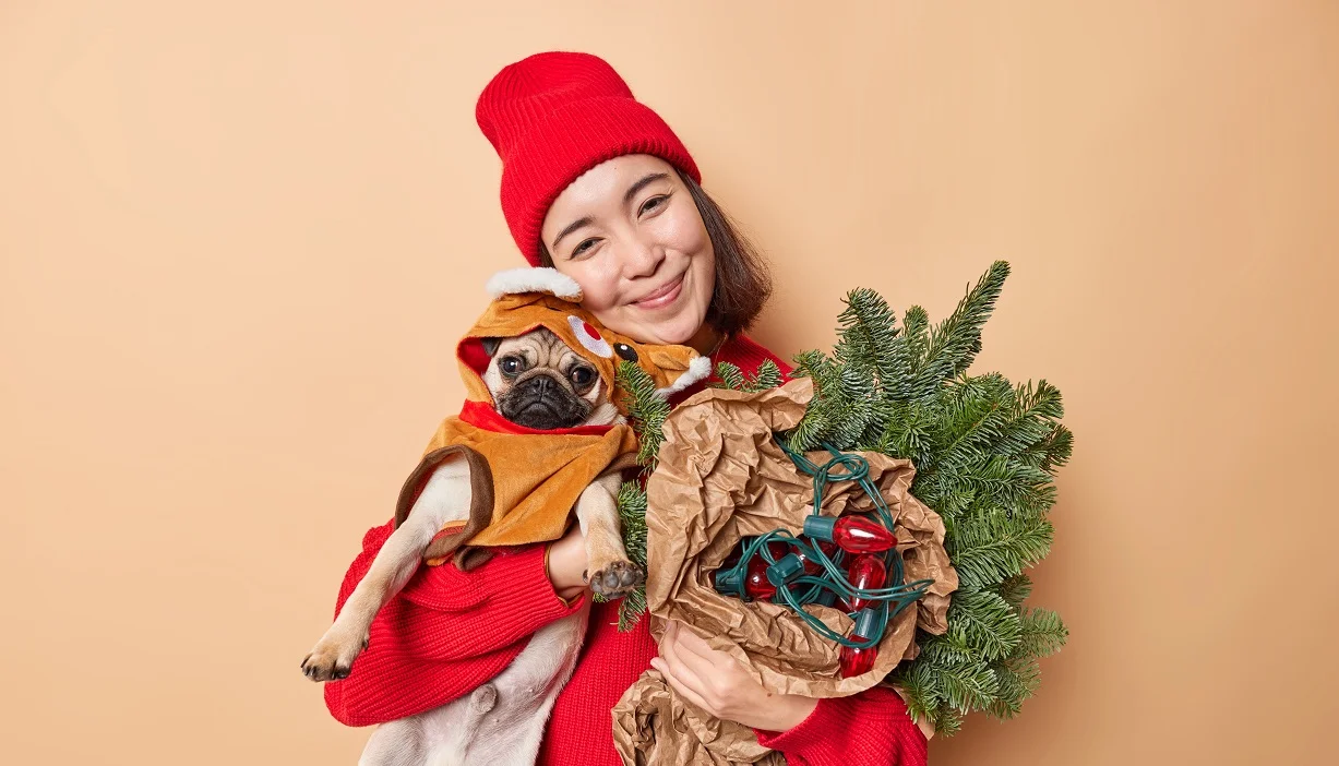 best christmas dog toys