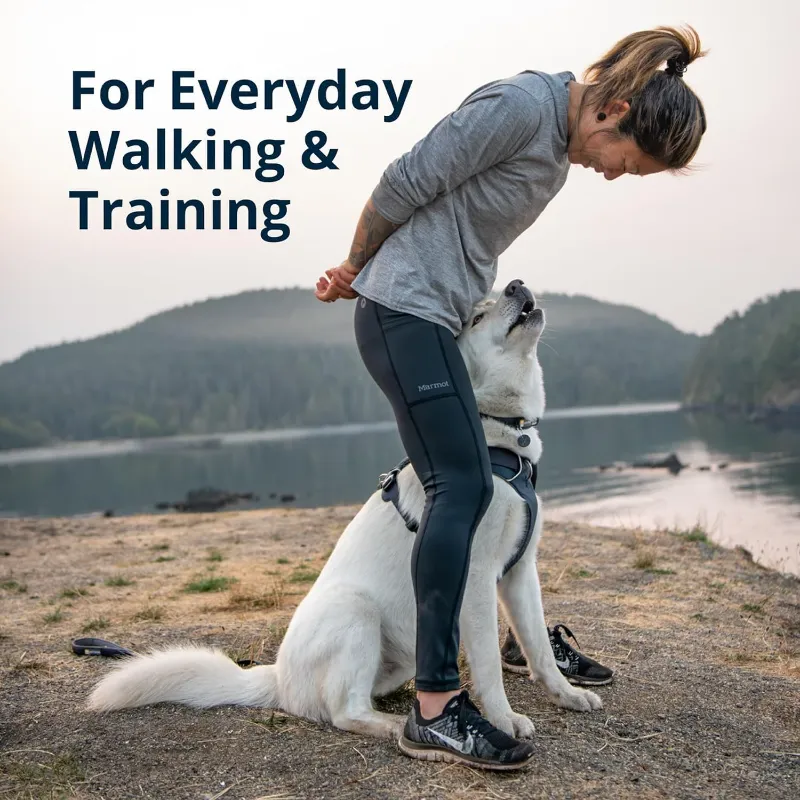 Best Dog Harness for Trail Riding and Biking (2026)-2_800x800