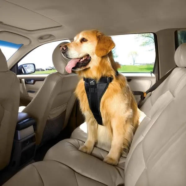 Kurgo Enhanced Strength Tru-Fit Dog Car Harness-2_600x600