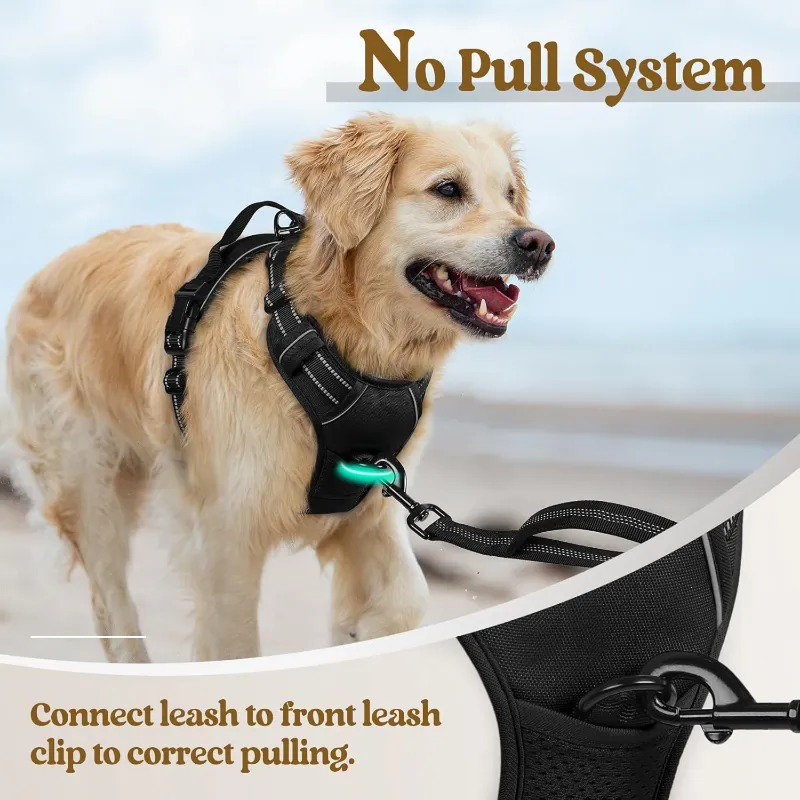 Rabbitgoo Dog Harness-2_800x800